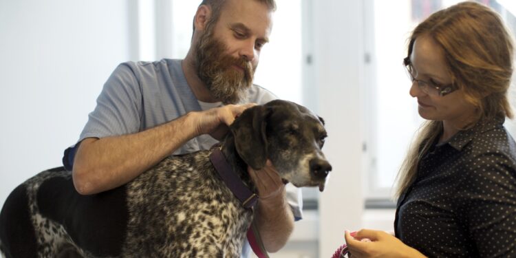Comment gérer l'incontinence d'un chien ?