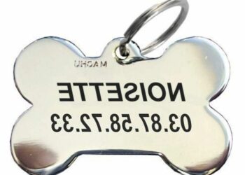 Comment habituer chiot au collier ?