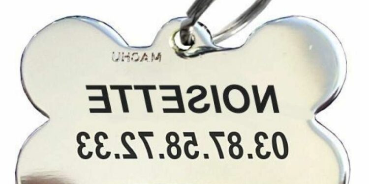 Comment habituer chiot au collier ?