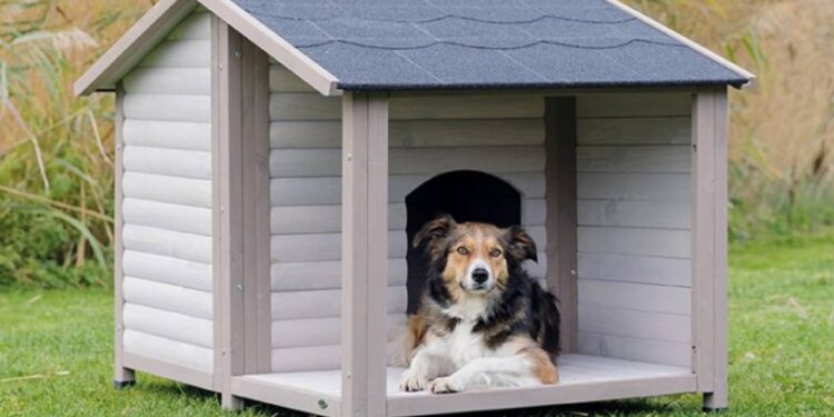 Comment habituer un chiot à dormir dans sa niche ?