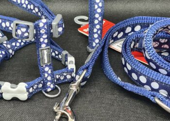 Comment habituer un chiot avec un harnais ?