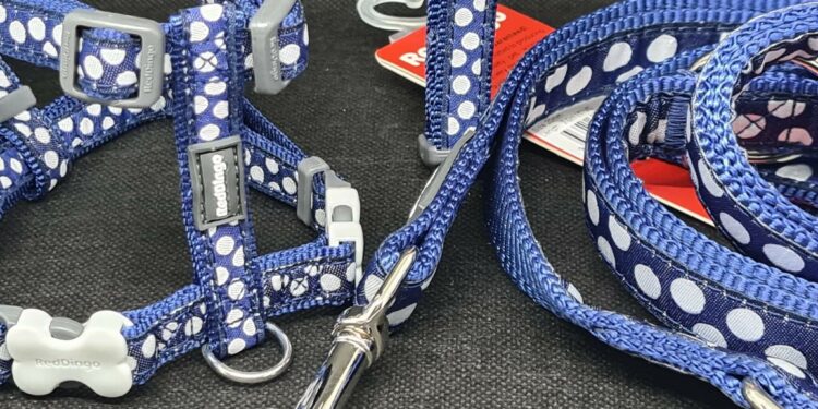 Comment habituer un chiot avec un harnais ?