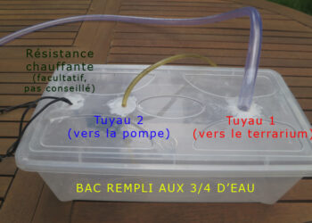 Comment humidifier l'air d'une chambre sans humidificateur ?