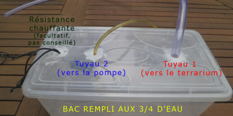 Comment humidifier l'air d'une chambre sans humidificateur ?