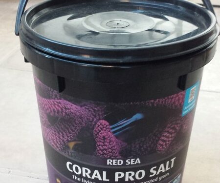 Comment installer un aquarium d'eau de mer ?