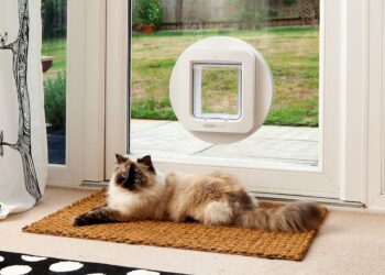 Comment installer une chatière dans un mur ?