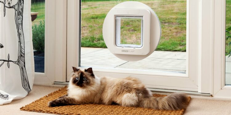 Comment installer une chatière dans un mur ?