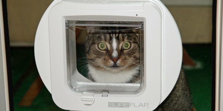 Comment installer une chatière sans percer ?