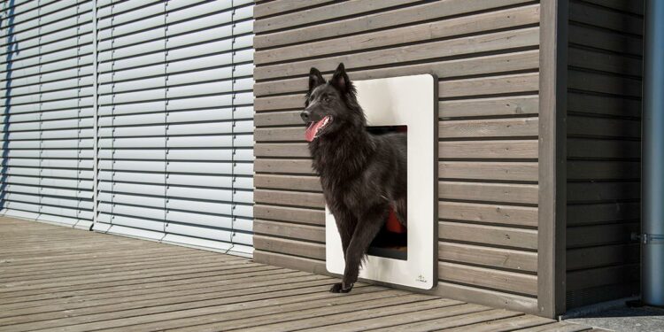 Comment installer une chatière sur une porte en PVC ?