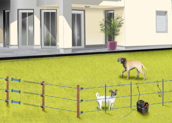 Comment installer une clôture pour chien ?