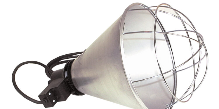 Comment installer une lampe chauffante dans un poulailler ?