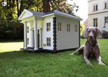 Comment isoler la niche du chien ?