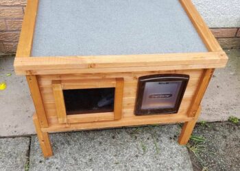 Comment isoler un chat ?