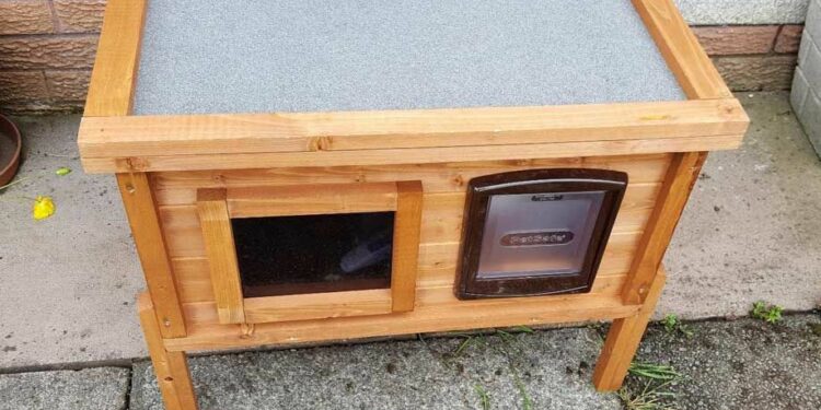 Comment isoler un chat ?