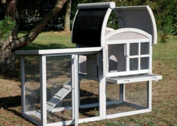 Comment isoler un clapier pour l'hiver ?