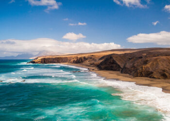 Comment jouer avec un canari ?