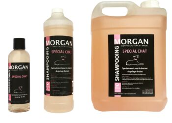 Comment laver son chat sans shampoing pour chat ?