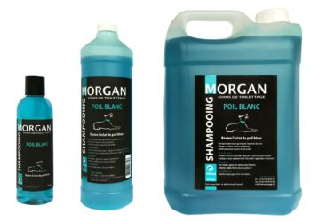 Comment laver un gros chien en hiver ?