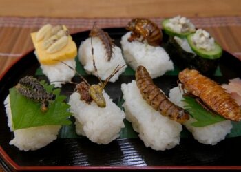 Comment les insectes boivent ?