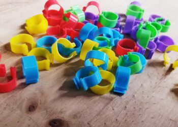 Comment lire la bague d'une poule ?