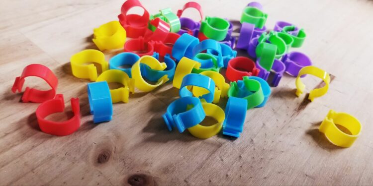 Comment lire la bague d'une poule ?