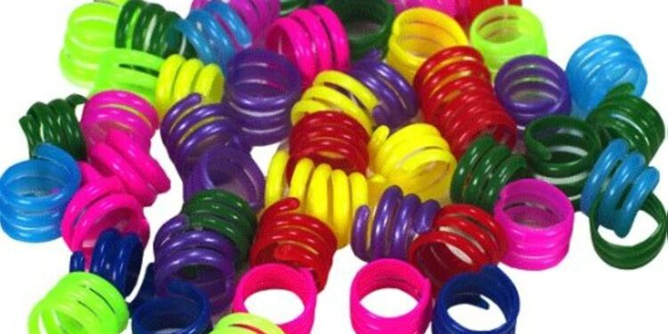 Comment lire une bague d'un oiseau ?