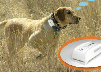 Comment localiser un animal ?