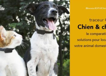 Comment localiser un animal ?