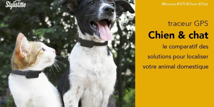 Comment localiser un animal ?