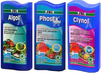 Comment lutter contre les algues ?