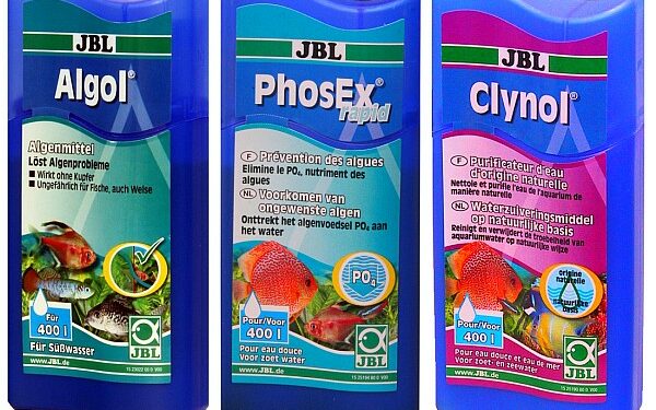 Comment lutter contre les algues ?