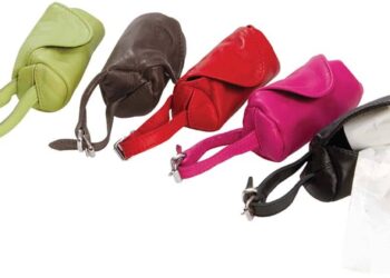 Comment lutter contre les crottes de chien ?