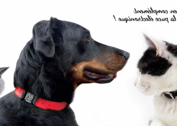 Comment marche un traceur GPS pour chien ?