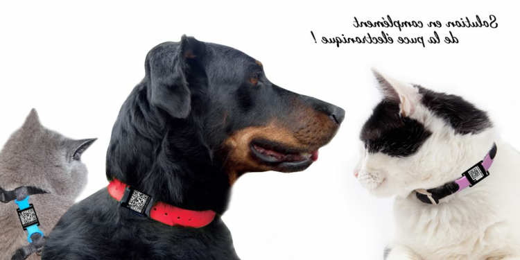 Comment marche un traceur GPS pour chien ?