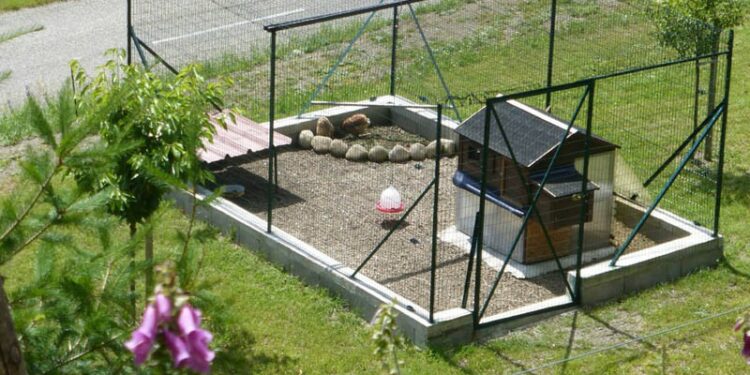 Comment mettre en place un filet de volière ?