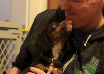 Comment mon chien me dit je t'aime ?