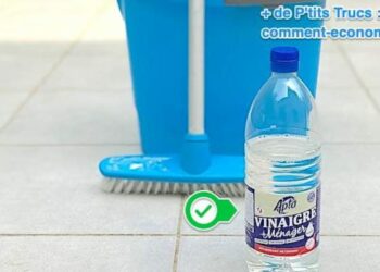 Comment nettoyer des fientes d'oiseaux ?