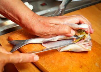 Comment nettoyer gravier aquarium sans aspirateur ?