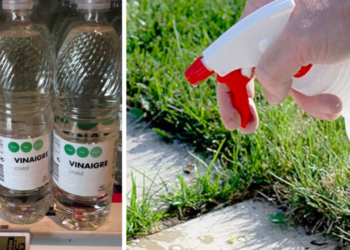 Comment nettoyer la cuvette des WC avec du vinaigre blanc ?