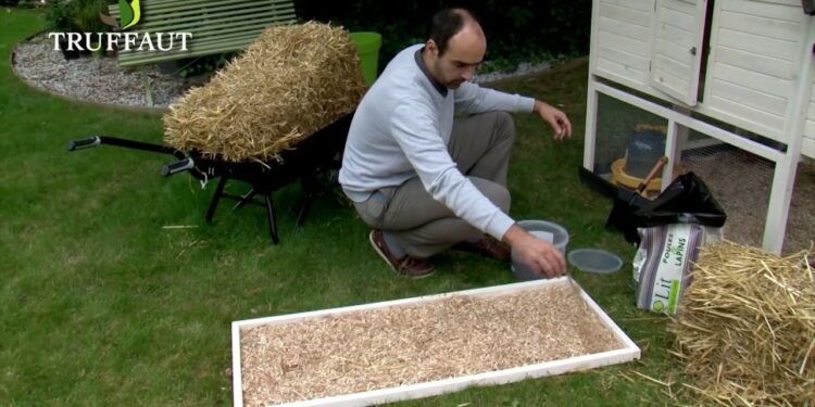 Comment nettoyer la fiente de poule ?