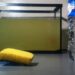 Comment nettoyer le fond d'un aquarium sans aspirateur ?