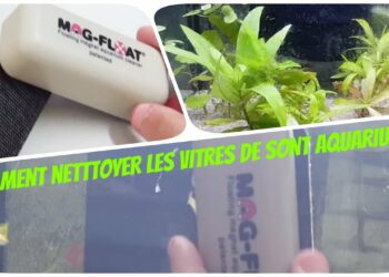 Comment nettoyer le fond d'un aquarium sans aspirateur ?