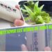 Comment nettoyer le fond d'un aquarium sans aspirateur ?