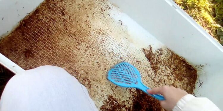 Comment nettoyer le pipi de lapin dans sa cage ?