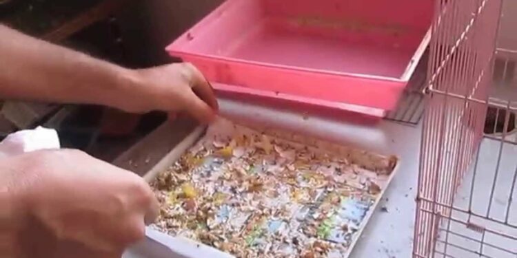 Comment nettoyer les barreaux d'une cage ?