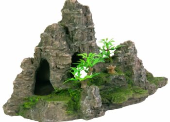 Comment nettoyer les pierres de l'aquarium ?