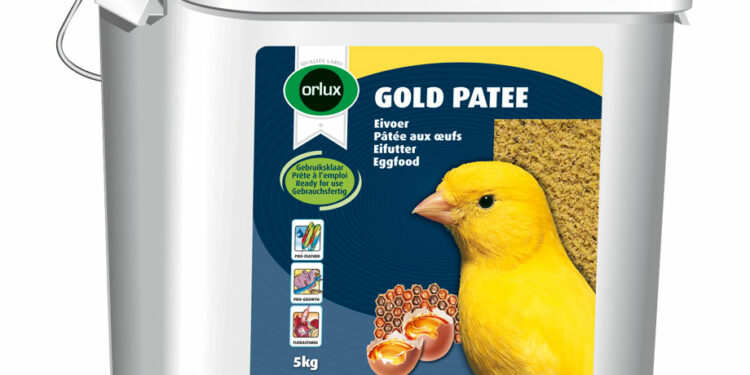 Comment nourrir un canari à la main ?