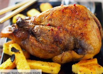 Comment nourrir un faisan sauvage ?