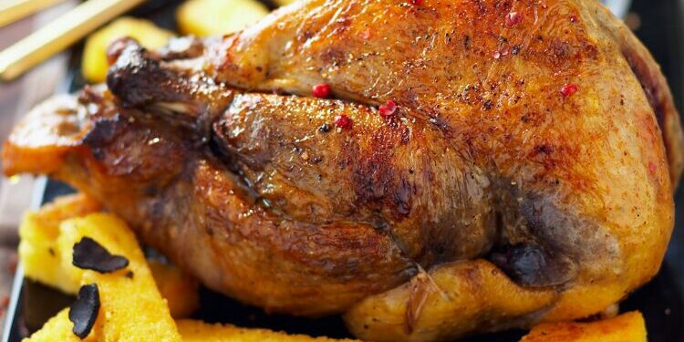 Comment nourrir un faisan sauvage ?