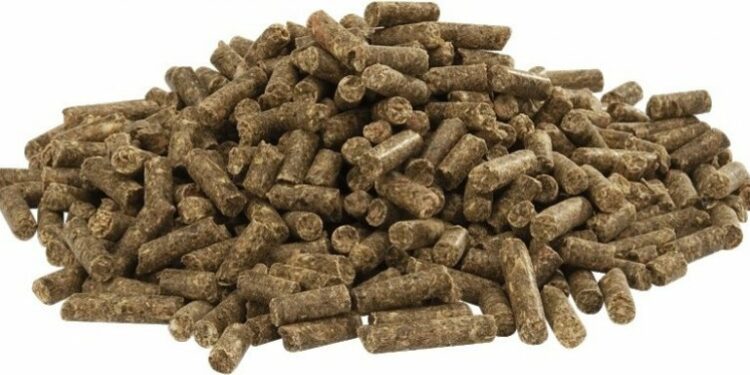 Comment nourrir un lapin nain de 3 mois ?